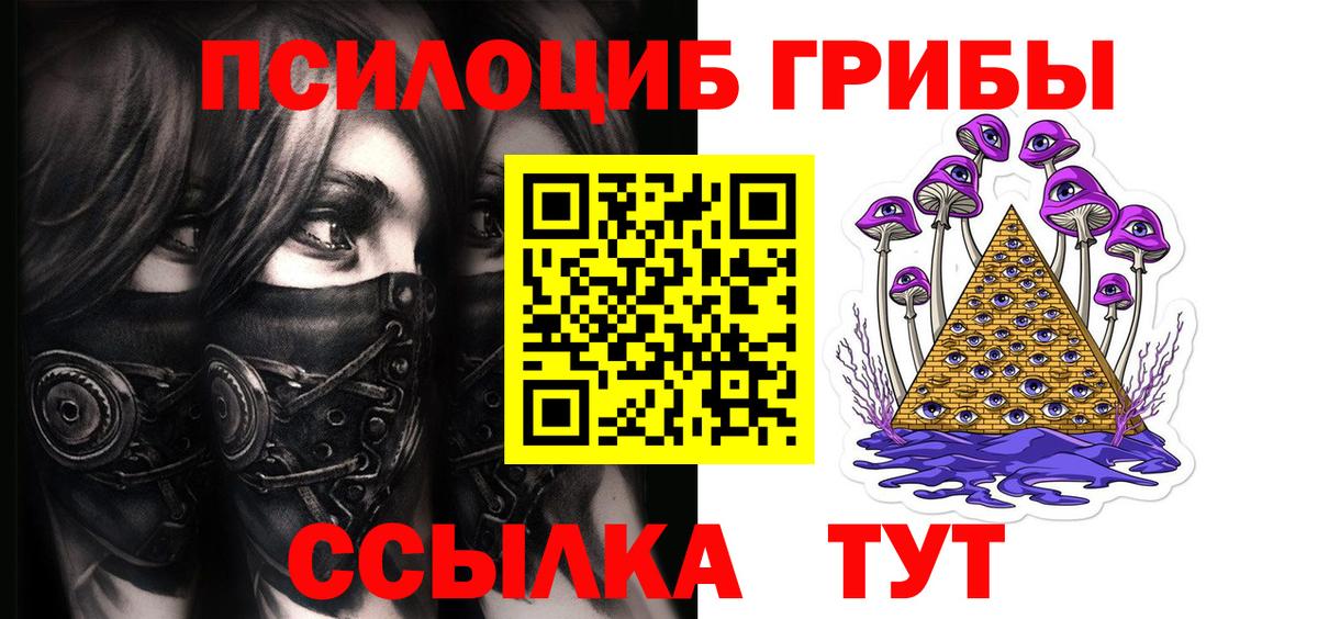 Кимры  Псилоцибиновые грибы прущие грибы  Вход с VPN 